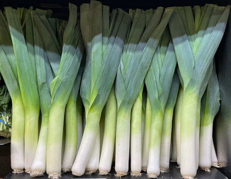 Leeks Grow More Tender And Sweet In Cold Weather