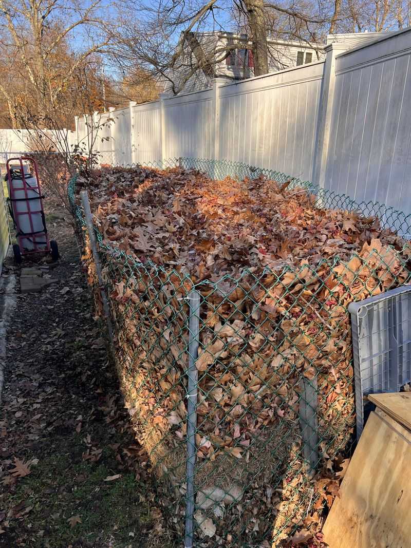 Leftover Leaves Moved To Beds Or Compost Leftover Leaves Moved To Beds Or Compost