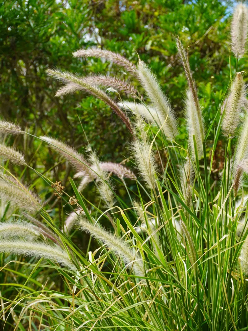 Less Nitrogen Is More This September