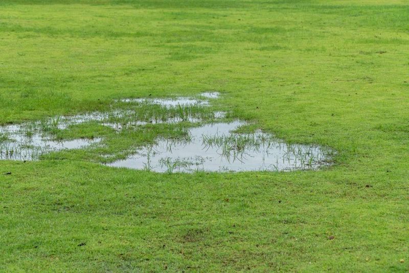 Let Excess Water Drain Naturally