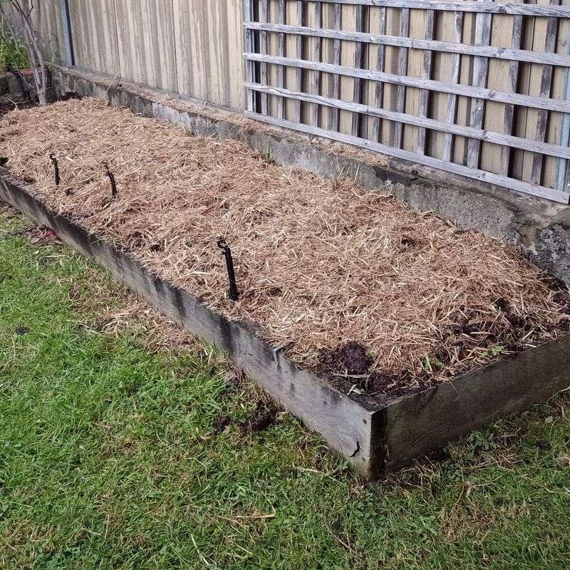 Let Fall Soil Preparation Do The Work