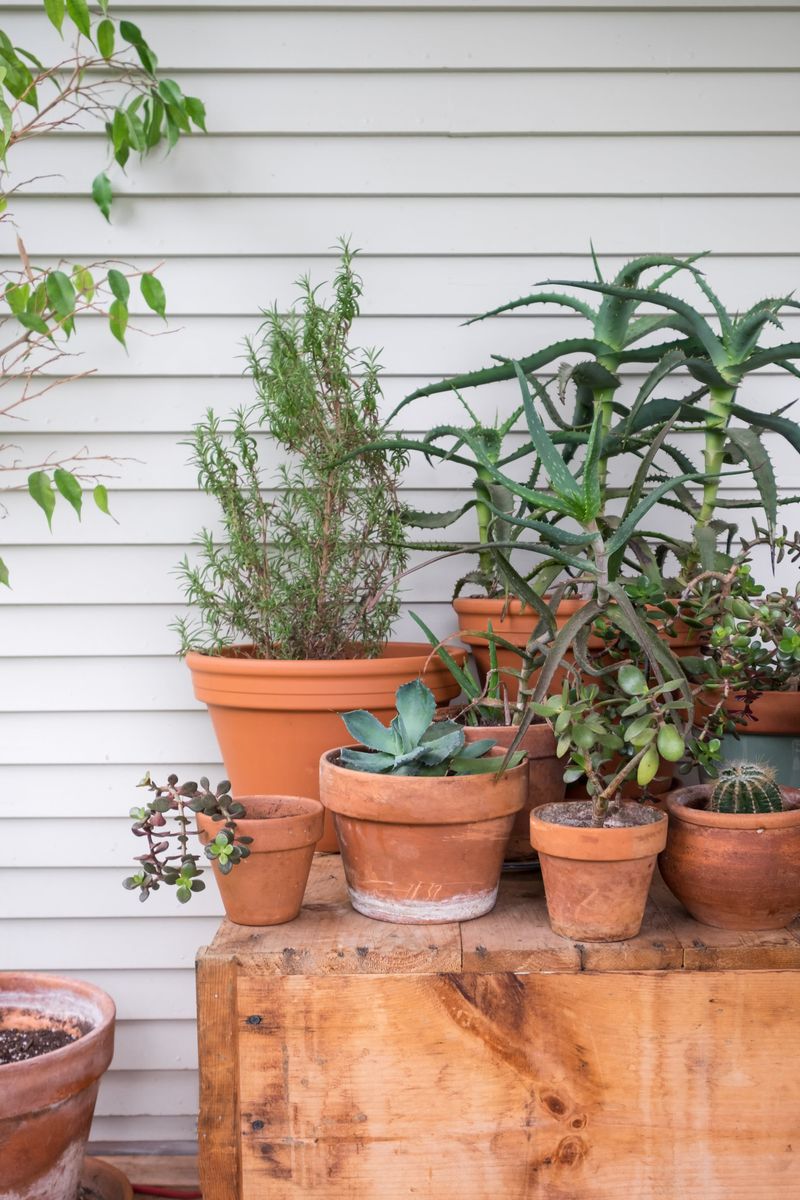 Let Pots Dry Before They Come Inside