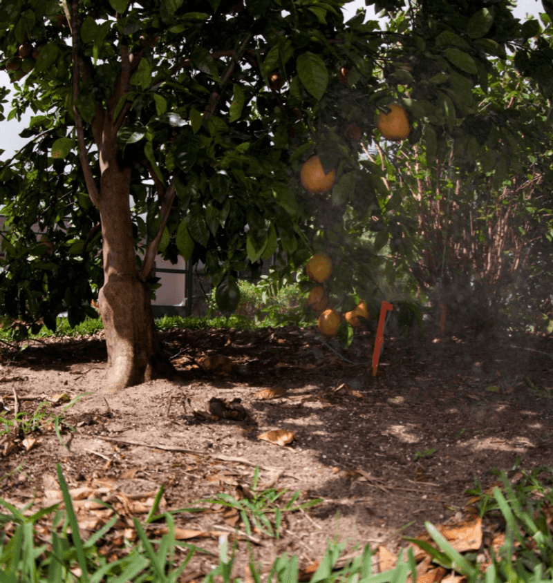 Let September Rain Change Your Irrigation Schedule