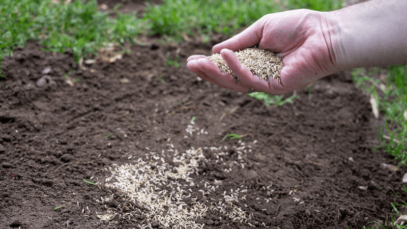 Let Soil Contact Guide Your Fall Seeding Let Soil Contact Guide Your Fall Seeding
