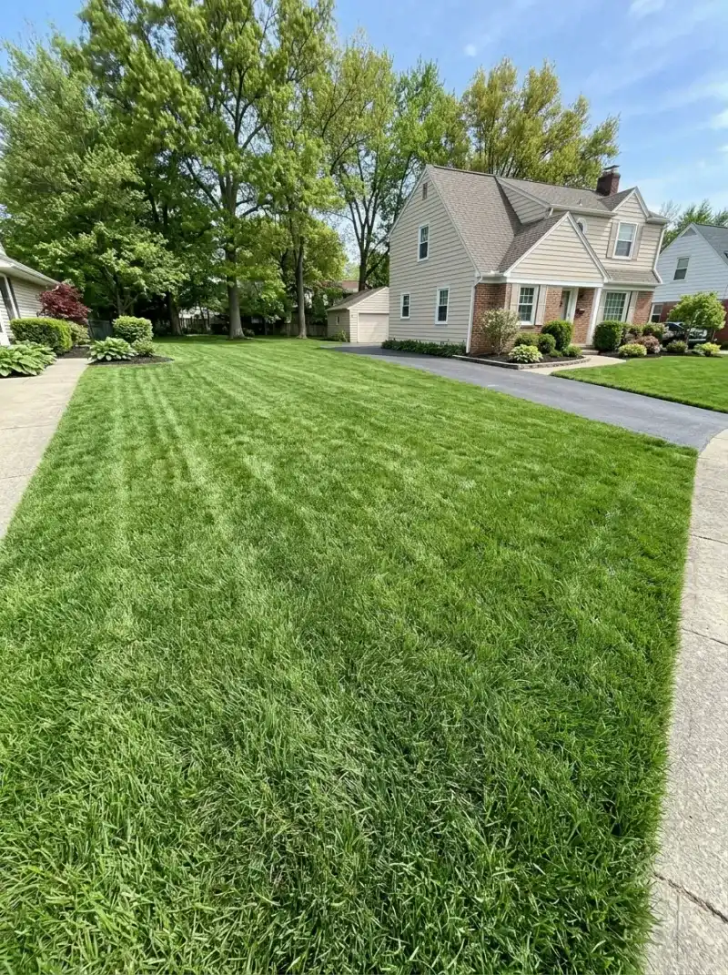 Let Young Turf Establish Before Winter