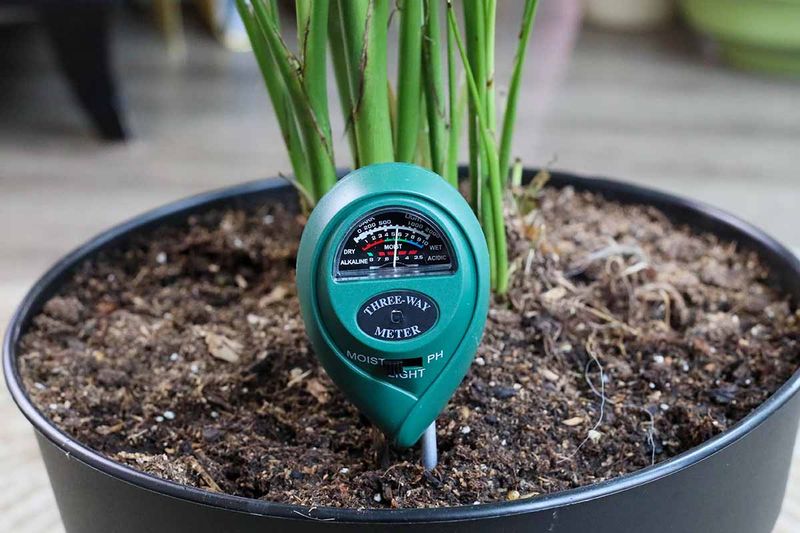 Let soil moisture—not the calendar—decide Let soil moisture—not the calendar—decide