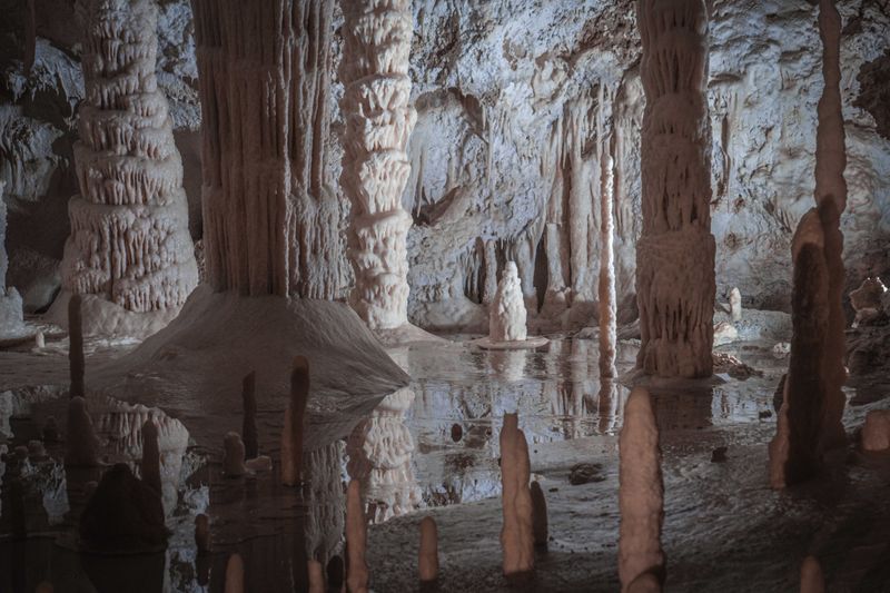 Life Inside A Limestone World
