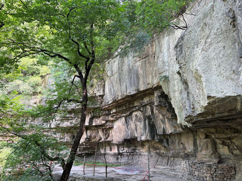 Limestone Bluffs Are The Habitat It Relies On