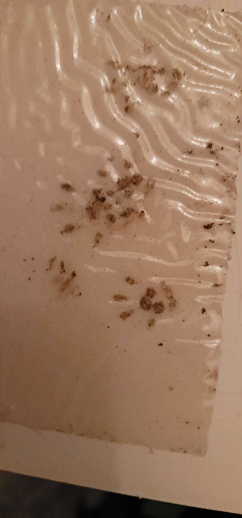 Little Footprints In The Dusty Corners Little Footprints In The Dusty Corners