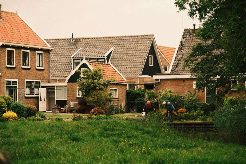 Living Peacefully Beside A Velvet Neighbor Living Peacefully Beside A Velvet Neighbor