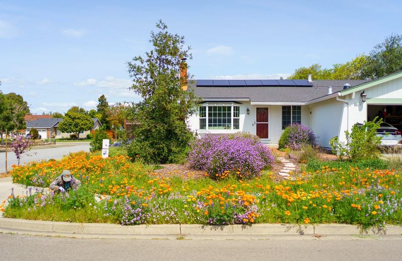 Living Plant Coverage Has Real Requirements