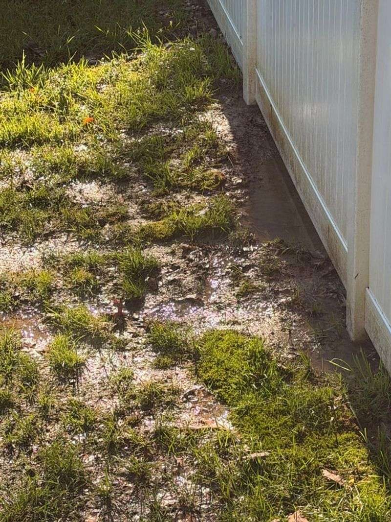 Local Drainage Patterns Shape Fall Yard Care Local Drainage Patterns Shape Fall Yard Care