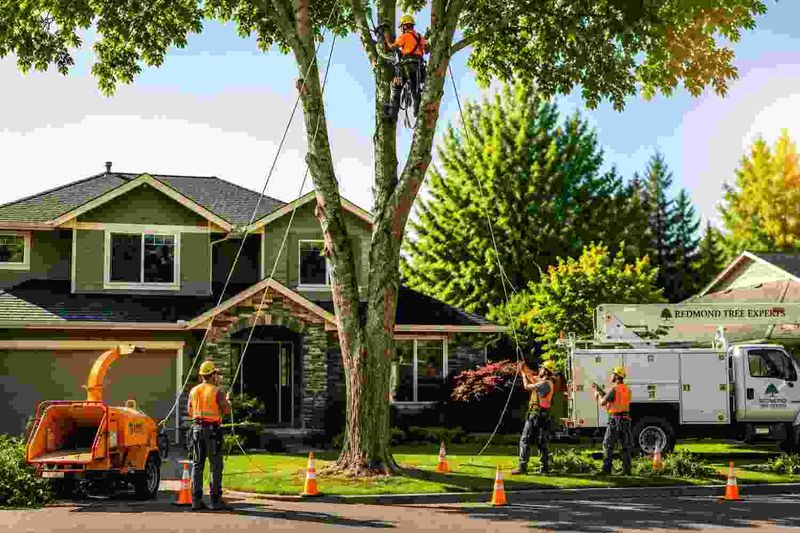 Local rules can limit ordinary pruning Local rules can limit ordinary pruning