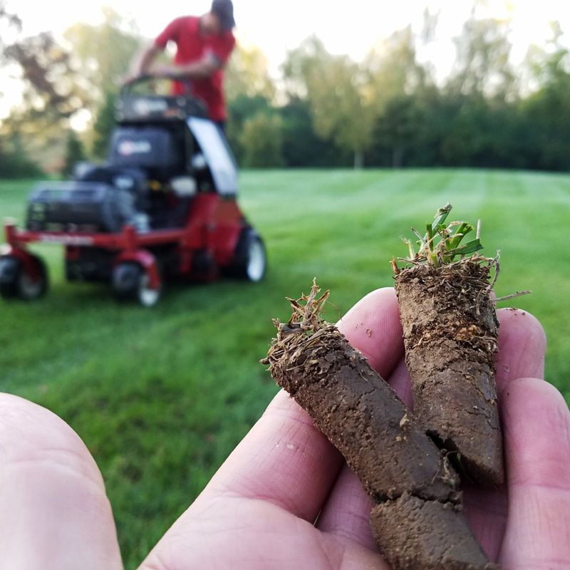 Long Term Defenses And Grass Choices For Next Year