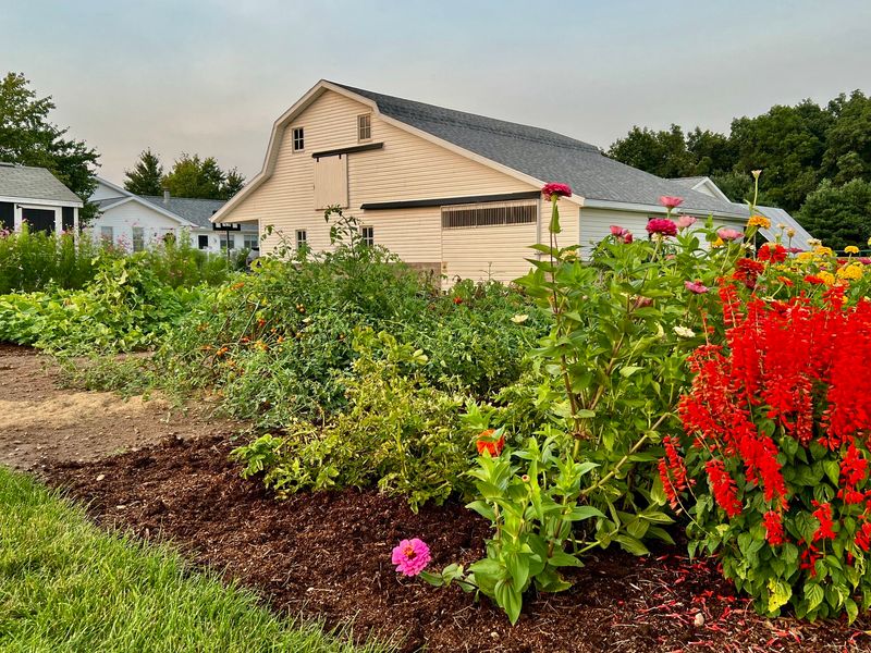 Long Term Garden Care And Neighborly Prevention Long Term Garden Care And Neighborly Prevention