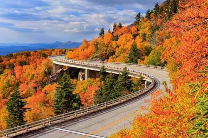 Long Term Outlook For Carolina Hardwood Forests Long Term Outlook For Carolina Hardwood Forests