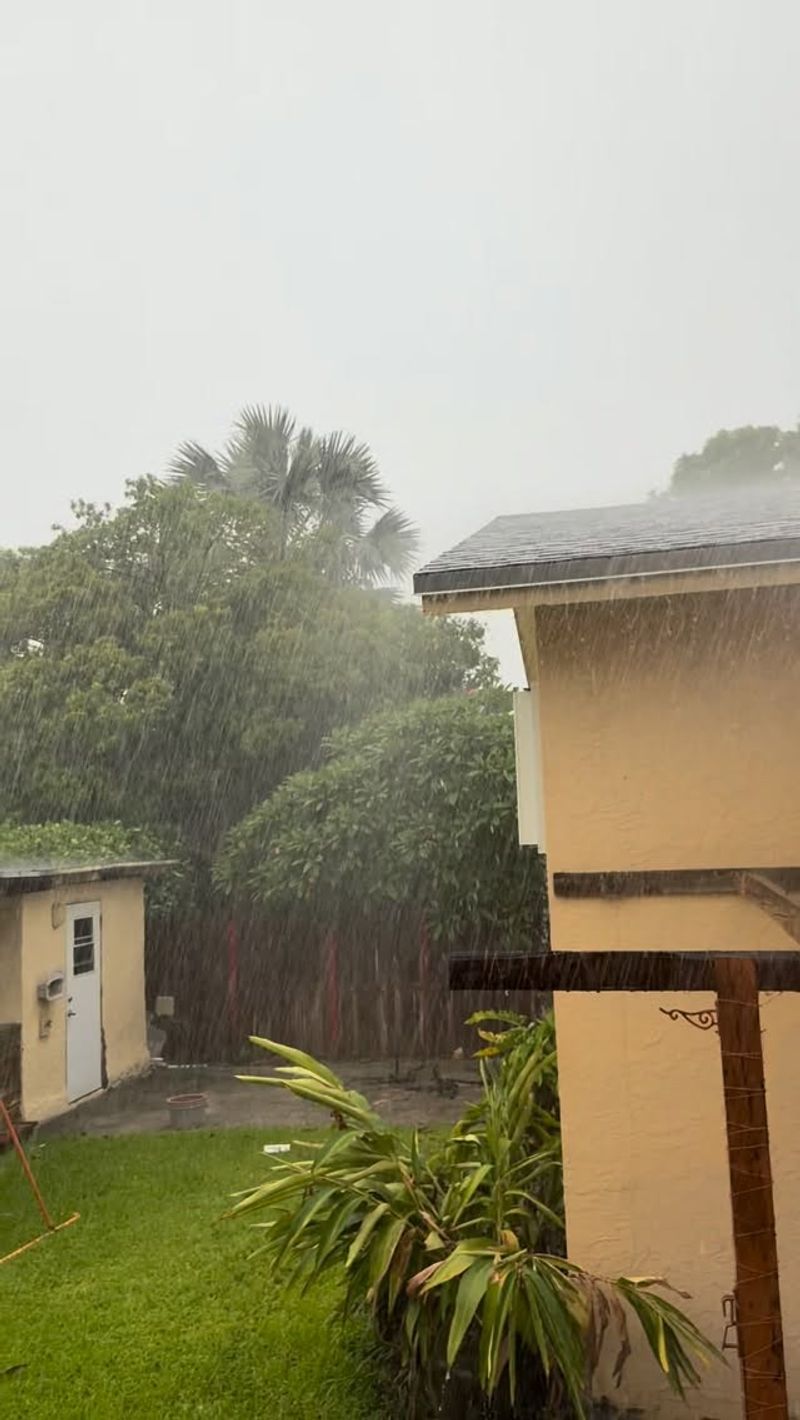 Look To Summer Rain For The Late-Season Population Surge