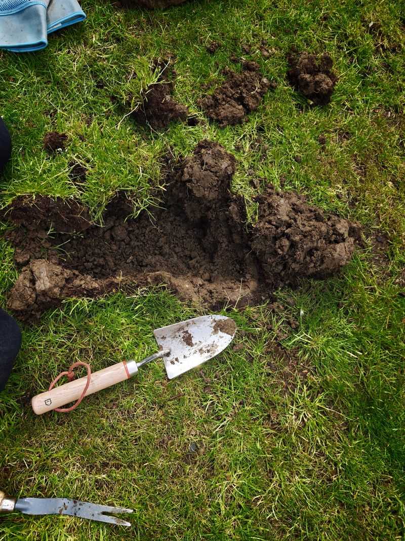 Loosen Up Tight, Packed Soil