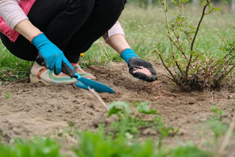 Low-Desert Soil Does Not Automatically Need More Potassium