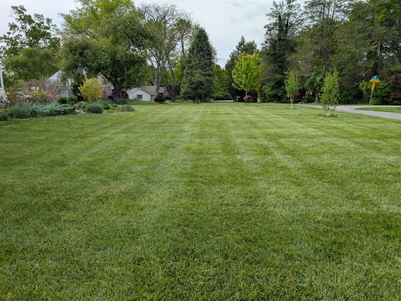 Low-Maintenance Living For Busy Homeowners