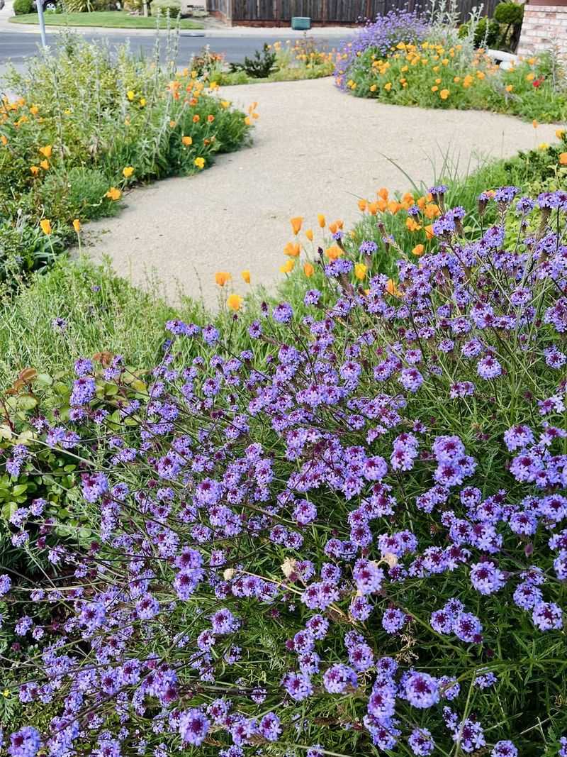 Lower Maintenance Appeals To Busy Gardeners