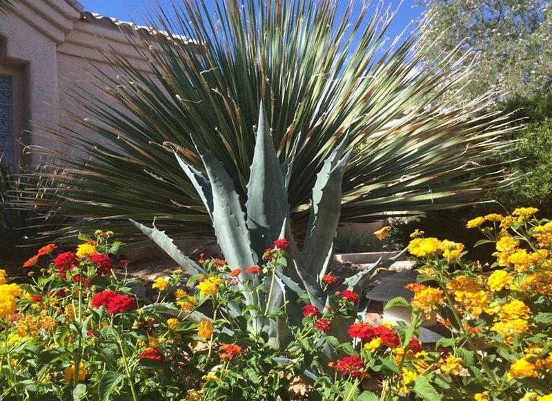 Maintain a border that stays lower-water and safe Maintain a border that stays lower-water and safe