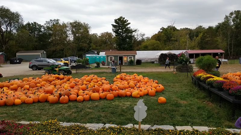 Make A Day Of Fall On The Farm At Blooms & Berries In Loveland Make A Day Of Fall On The Farm At Blooms & Berries In Loveland
