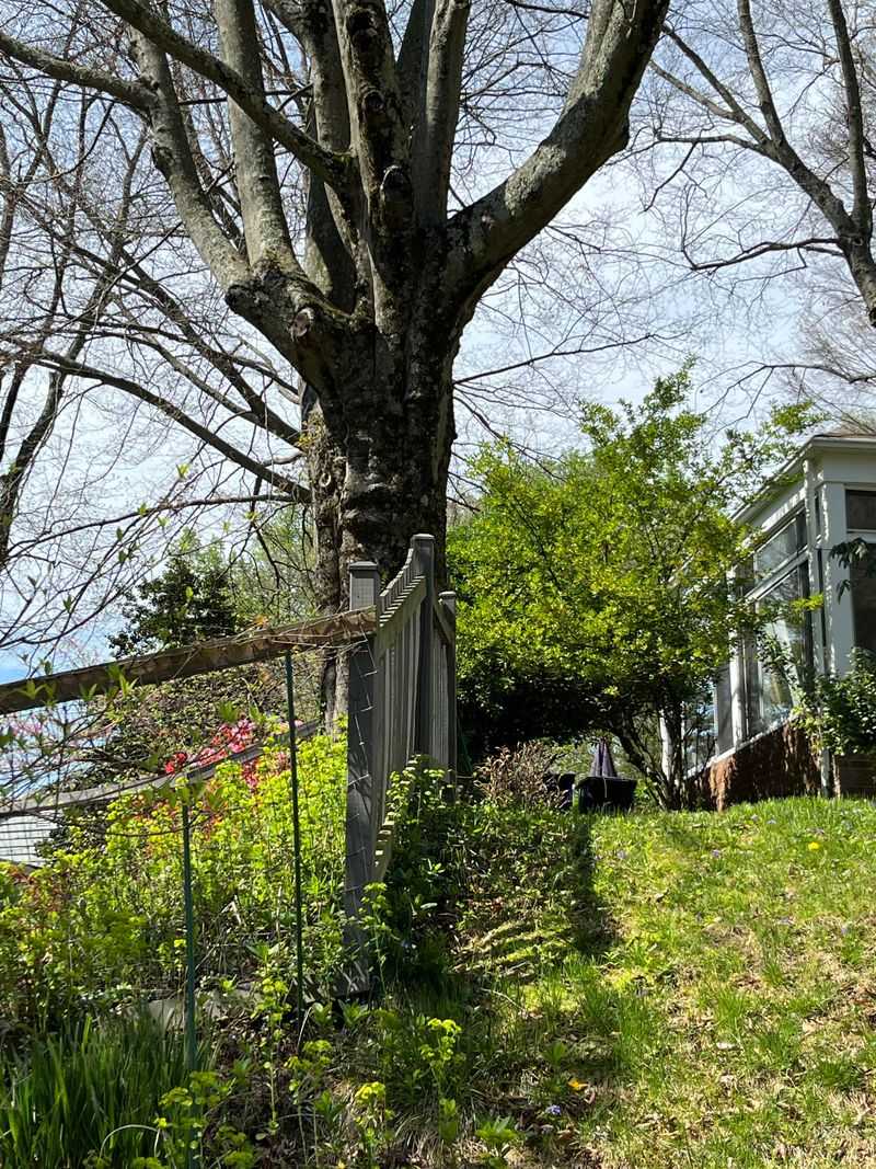 Make Sure You Know Exactly Where The Property Line Is Make Sure You Know Exactly Where The Property Line Is