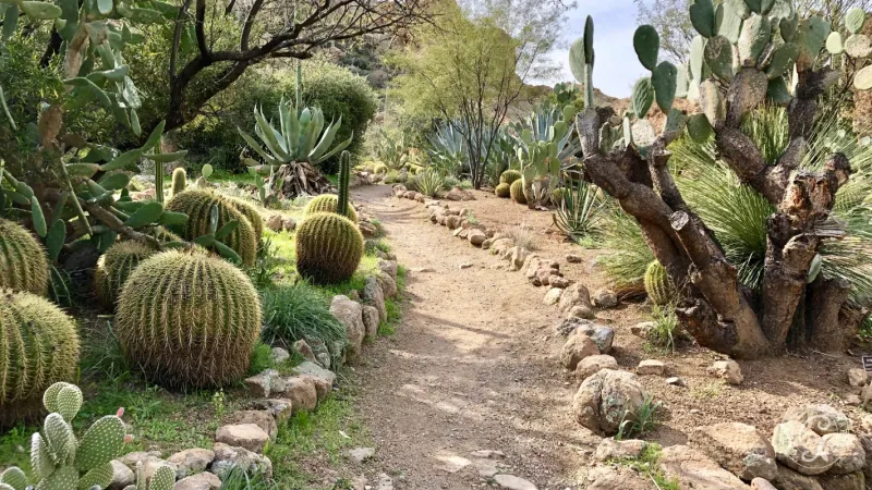 Make room for wildlife without promising lizards