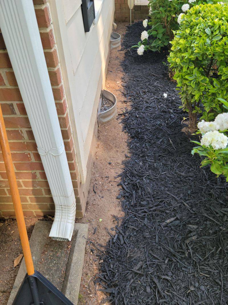 Manage Moisture And Organic Debris Before Reaching For A Treatment