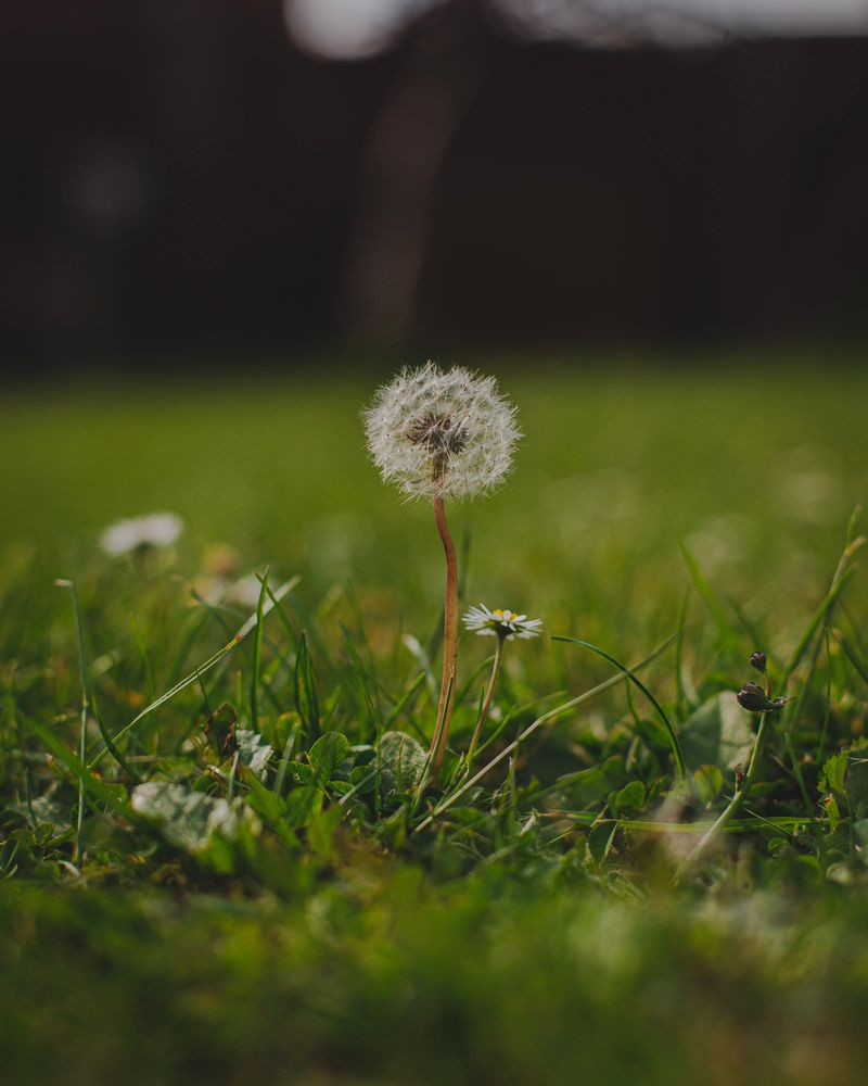 Mark The Calendar For An Early Spring Follow-Up Mark The Calendar For An Early Spring Follow-Up