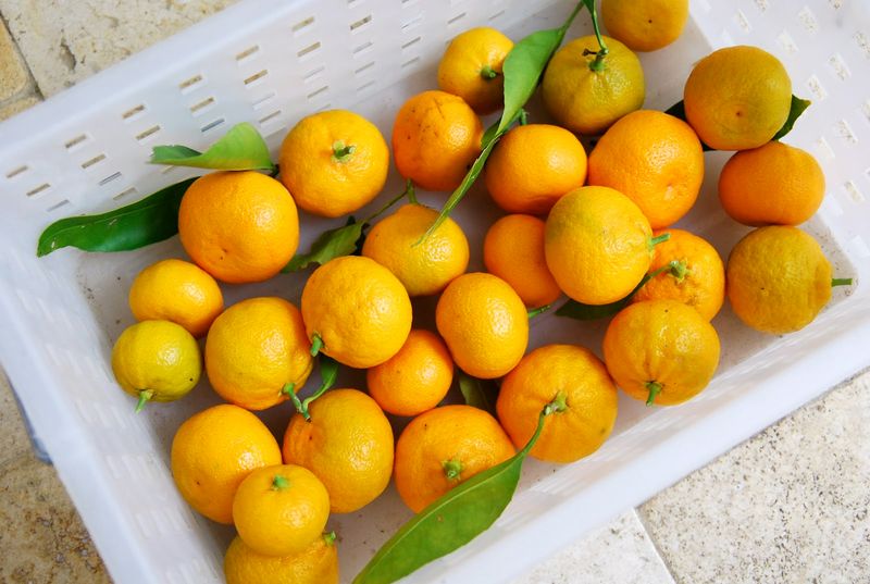 Market Demand Pulled Fruit Off Trees Ahead Of Schedule