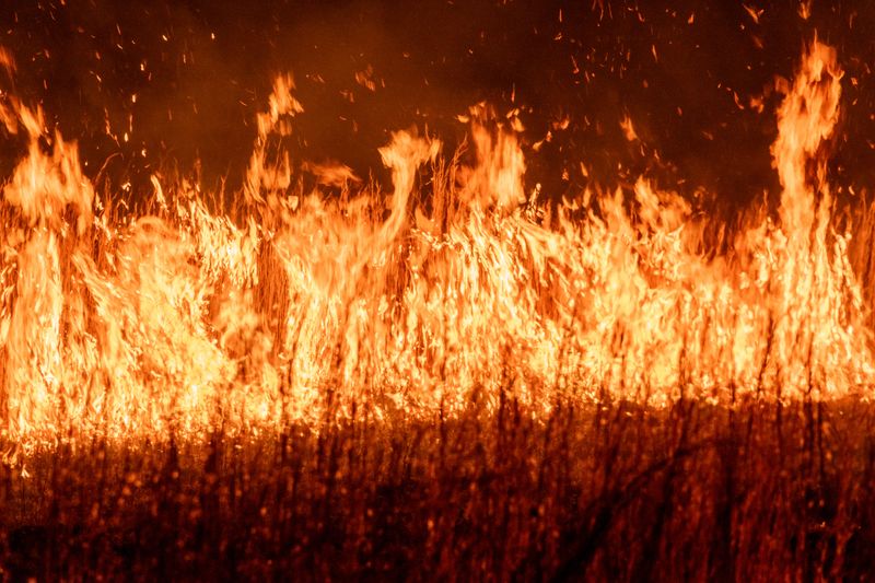 Marsh And Grassland Fuels Ignite Faster Than People Expect