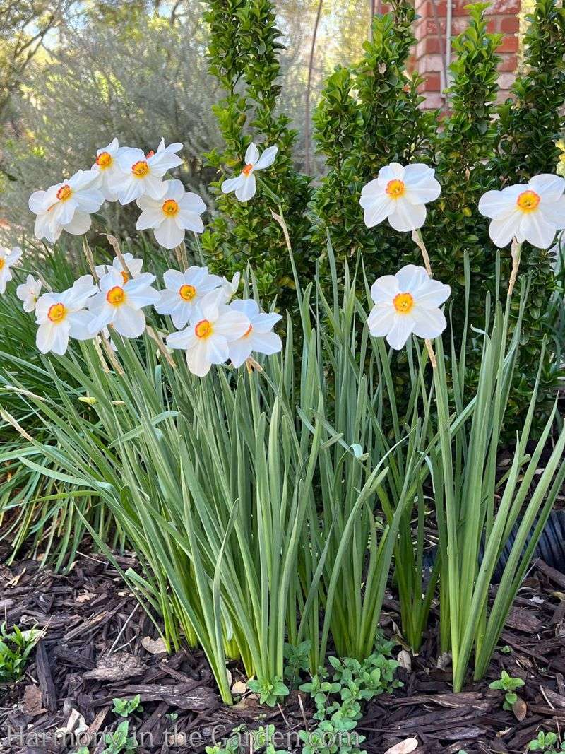 Match The Bulb To What Your Climate Provides Match The Bulb To What Your Climate Provides