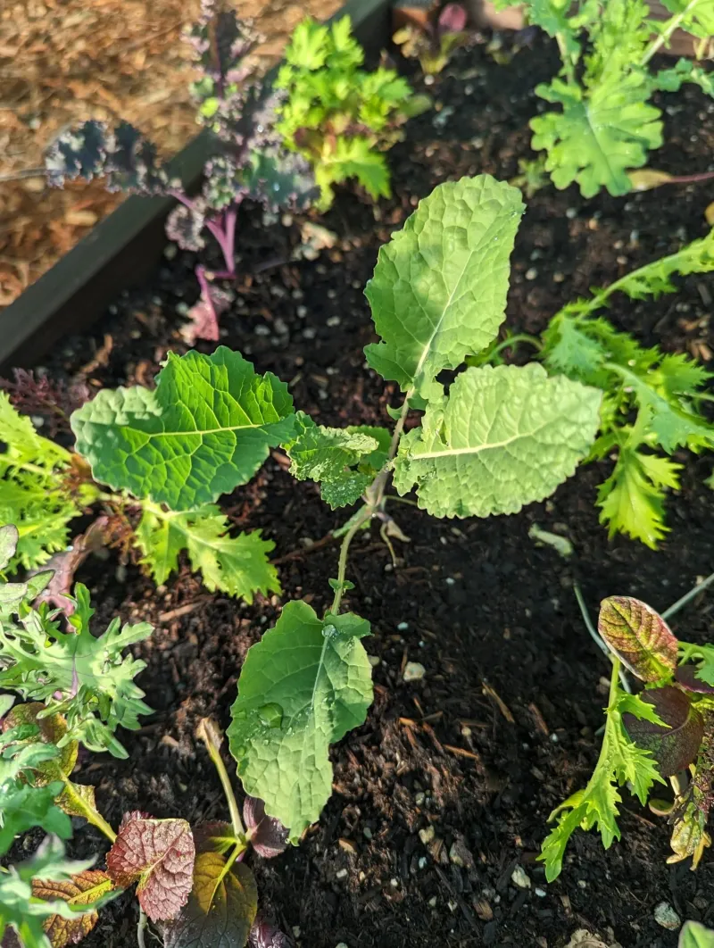 Match The Crop To Your Real Conditions Match The Crop To Your Real Conditions