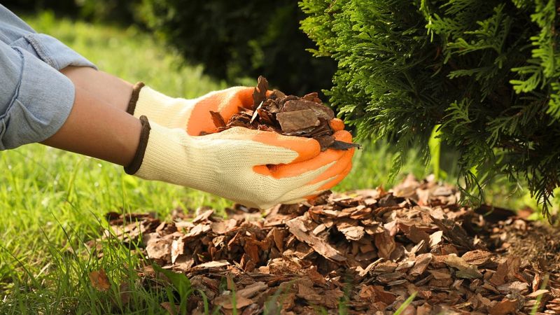 Match leaf cover to the lawn, plants, and moisture