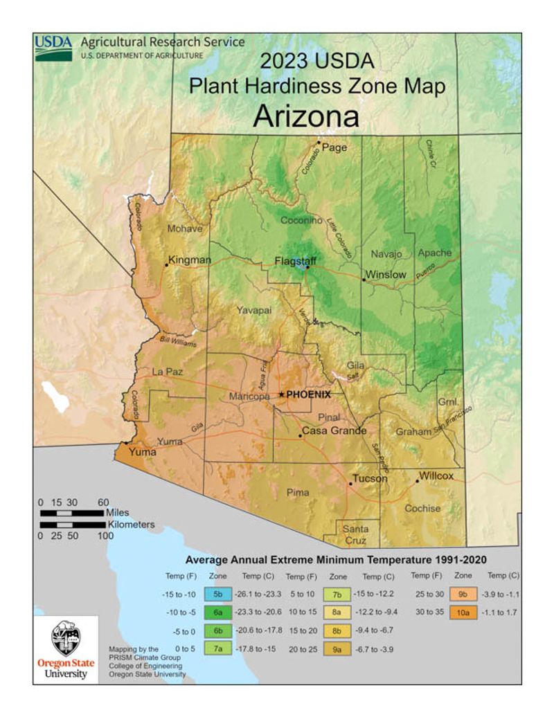 Match the Calendar to Arizona’s Desert Elevation Match the Calendar to Arizona’s Desert Elevation