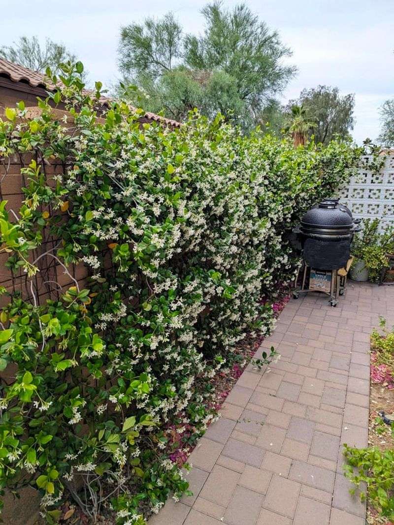 Match the fence to filtered light, not a generic shade label