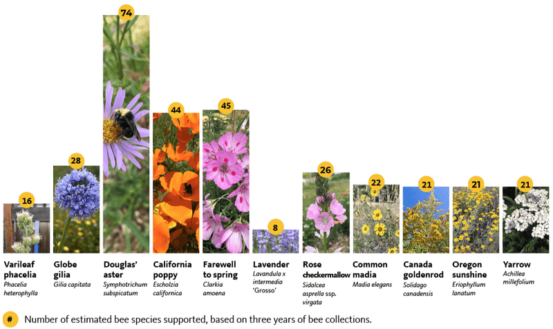 Match the recommendation to the climate
