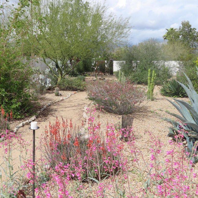 Measure Success by a Healthier Arizona Habitat