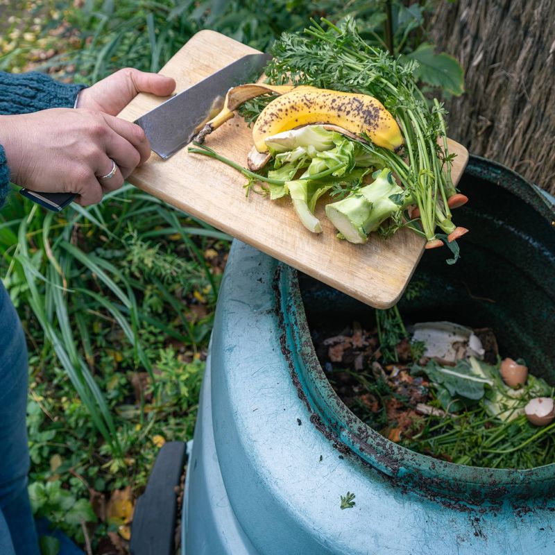 Meat And Protein Scraps Are Another Attraction