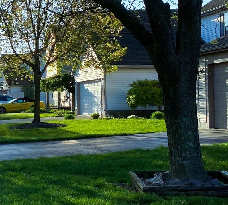 Mediation may resolve the dispute before either neighbor files suit