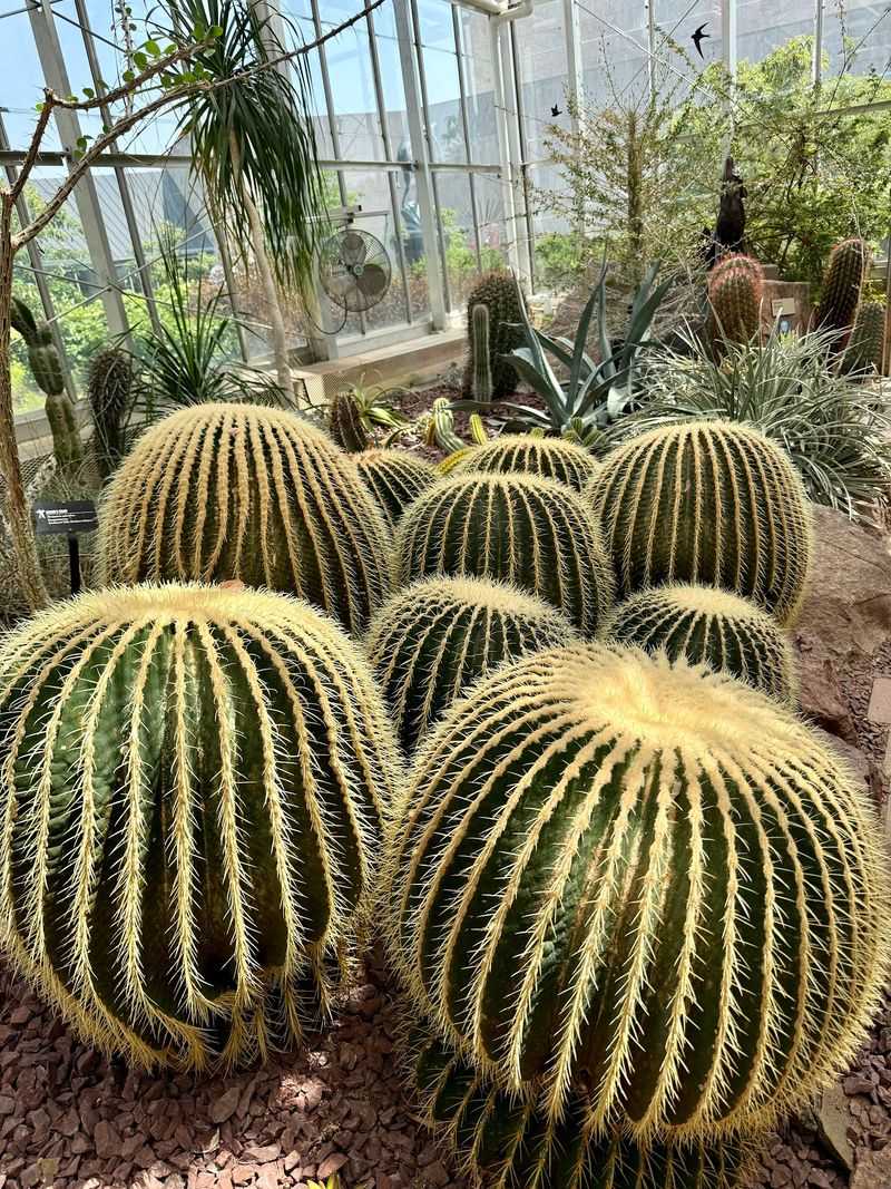 Michigan's Largest Tropical Conservatory Michigan's Largest Tropical Conservatory