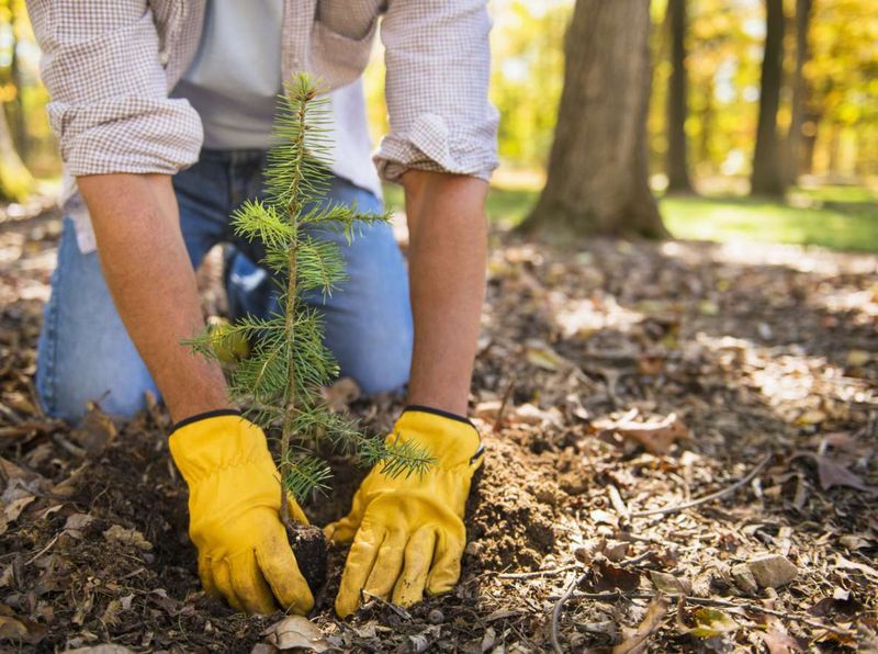 Michigan's Planting Window Is Shorter
