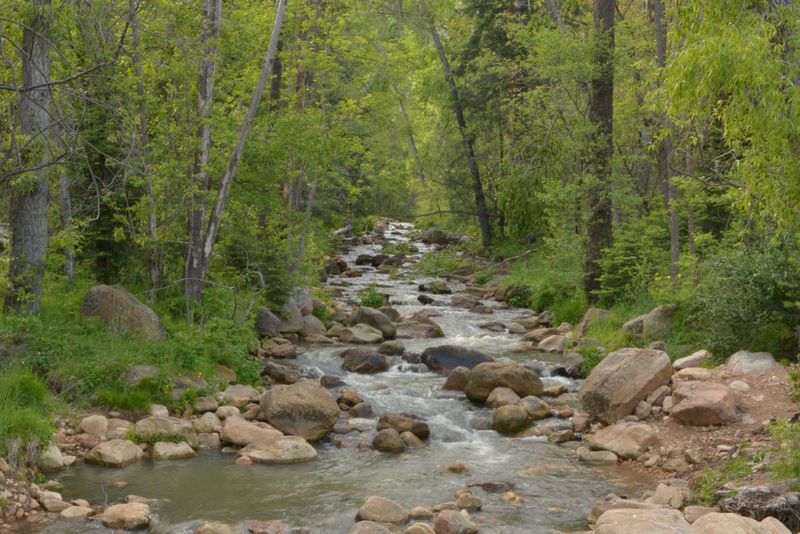 Mid-elevation southeastern sites provide the clearest local evidence Mid-elevation southeastern sites provide the clearest local evidence