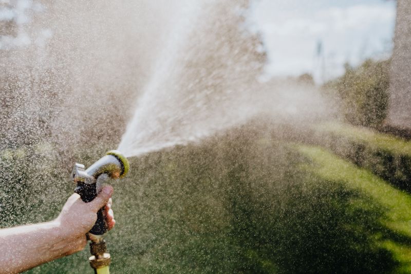 Midday Watering Wastes More Than You Think Midday Watering Wastes More Than You Think