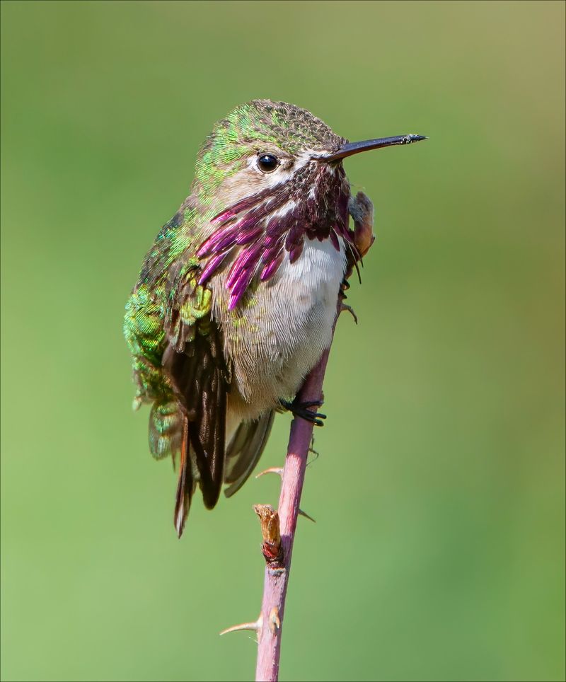 Migration Is Running Late This Year
