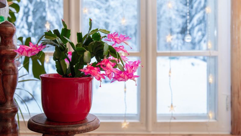 Mind the Wisconsin Indoor Climate