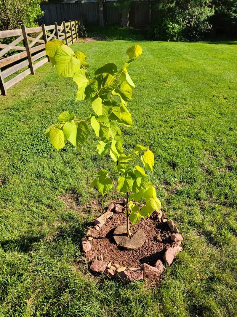 Missouri Clay And The September Moisture Swing