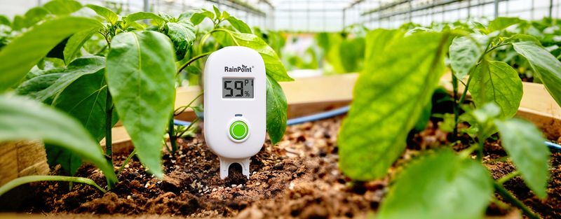 Monitor Arizona Soil Moisture With Probes Or Sensors Monitor Arizona Soil Moisture With Probes Or Sensors